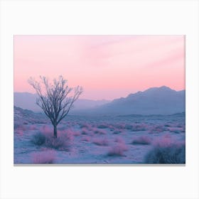 Desert Landscape 17 Canvas Print