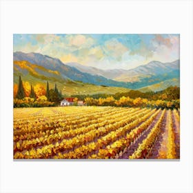 Vineyard Field Canvas Print