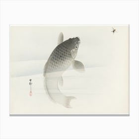 Carp And Fly (1900 1930), Ohara Koson Canvas Print