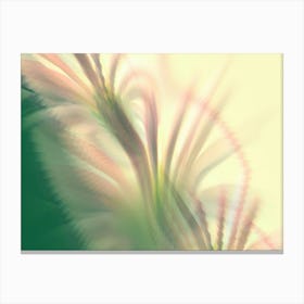 Abstract Floral Pattern In Pink 1 Canvas Print