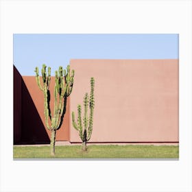Cactus Brothers Canvas Print