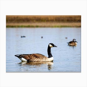 Canadian Geese 43 Canvas Print