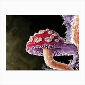 Fungus 2 Canvas Print