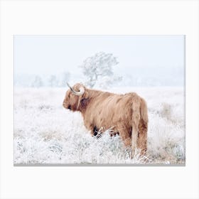 Frosty Winter Field Canvas Print