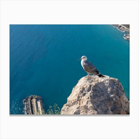 Seagull on the cliffs and blue sea water Canvas Print