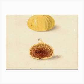 Figs Canvas Print