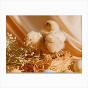 Easter Chicks 2 Canvas Print