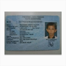 Id Card Canvas Print