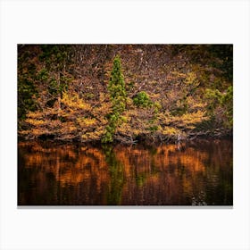 Autum Lake Canvas Print