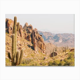 Gold Canyon Desert Canvas Print