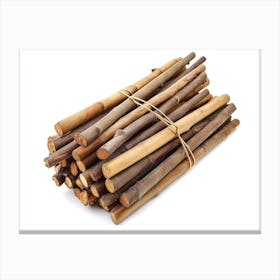 Bamboo Sticks 2 Canvas Print