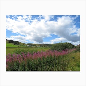 Scotland Landscape UK pink flowers Canvas Print