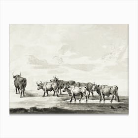 Group Of Six Bulls, Jean Bernard Canvas Print
