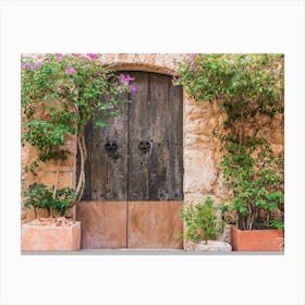 Door To A House Canvas Print