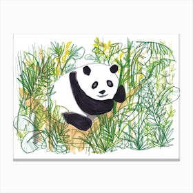 Jungle Panda Canvas Print