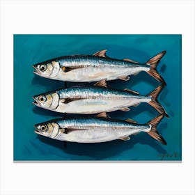 Three Sardines Canvas Print