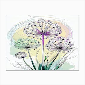 Allium 6 Canvas Print
