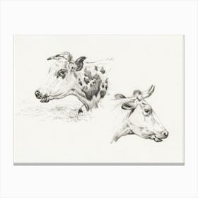 Two Studies Of The Head Of A Cow, Jean Bernard Canvas Print