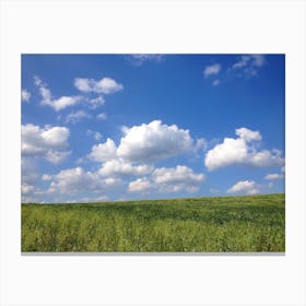 Cloudy Sky over Meadow Canvas Print