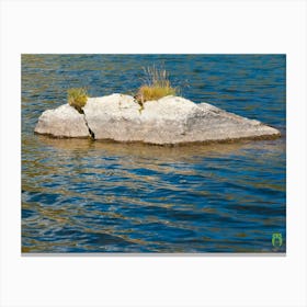 Rock In The Water 20210825 181ppub Canvas Print