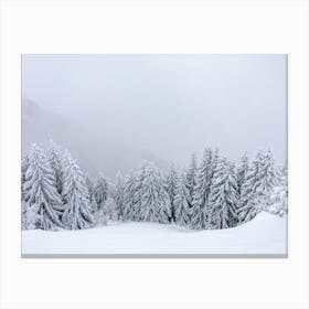 Winter wonderland | Snowy pine trees in the mist | Austria  Canvas Print