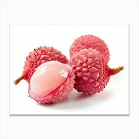 Lychee Fruit 1 Canvas Print