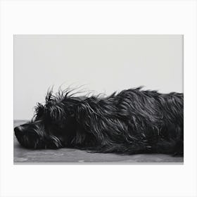 'Dog Laying Down' Canvas Print