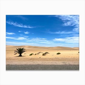 Namibian Desert Landscape (Africa Series) Canvas Print