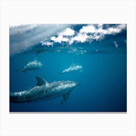 Dolphins, Oil Painting Canvas Print