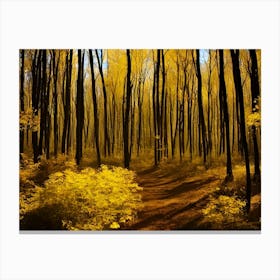 Autumn Forest 34 Canvas Print