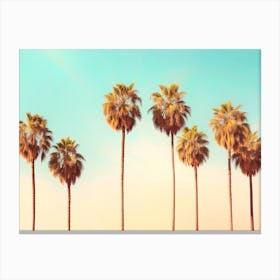 California Dreaming - Hollywood Palms Canvas Print