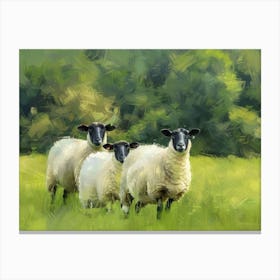 Three Sheep In A Field Canvas Print