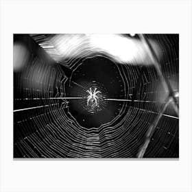 Spider Web BW Canvas Print