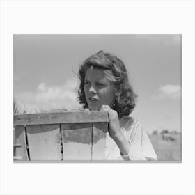 Pea Picker,Nampa, Idaho By Russell Lee Canvas Print