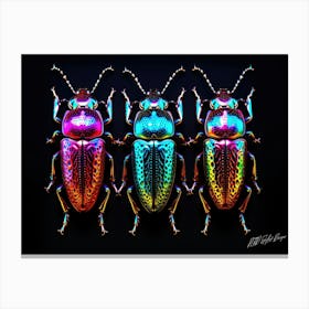 Scarab Blue - Rainbow Scarab Beetle Canvas Print