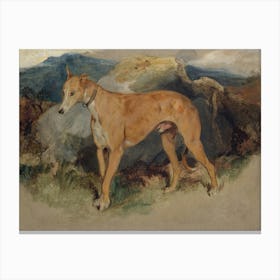 Vintage Greyhound Canvas Print