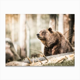Forest Grizzly Bear Canvas Print