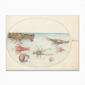 Animalia Aqvatilia et Cochiliata (c. 1575-1580), Joris Hoefnagel (5) 1 Canvas Print