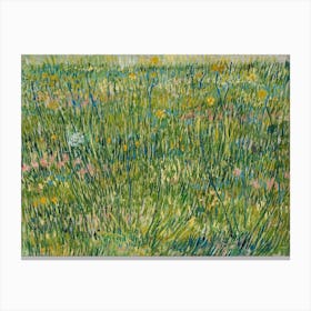 Van Gogh - Patch Of Grass Canvas Print