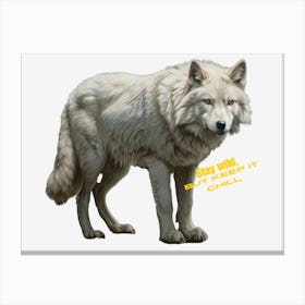 Stay Wild But Keep It Chill Like The White Wolf Canvas Print