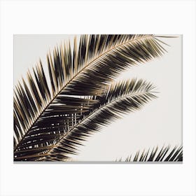Boho Palm Leaves Canvas Print