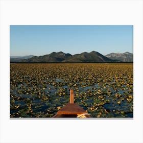 Lilly Lake With Mountain Views Canvas Print
