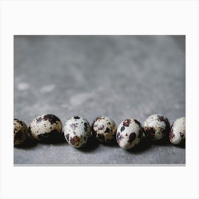 Quail Eggs 12 Canvas Print