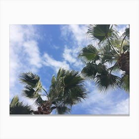 Palm Trees Against A Blue Sky Canvas Print