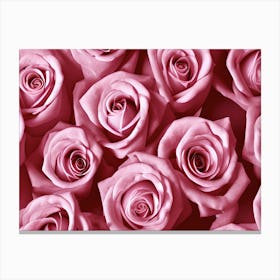 Pink Roses 7 Canvas Print