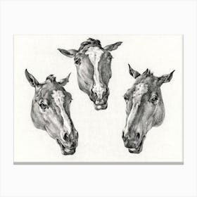 Three Horse Heads, Jean Bernard Canvas Print
