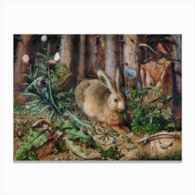 Rabbit In The Woods Canvas Print