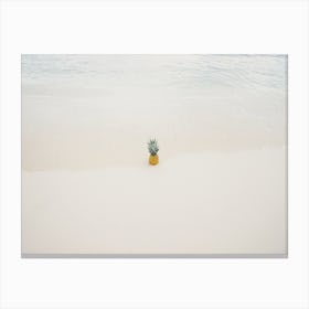 Tropical Pineapple In Sand Canvas Print
