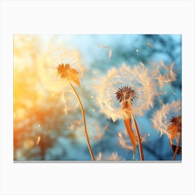 Dandelion 29 Canvas Print