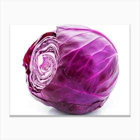 Red Cabbage (14) Canvas Print